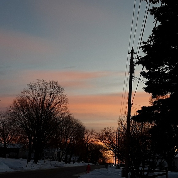 Meet your Posher, Morgan - Picture 1 of 1